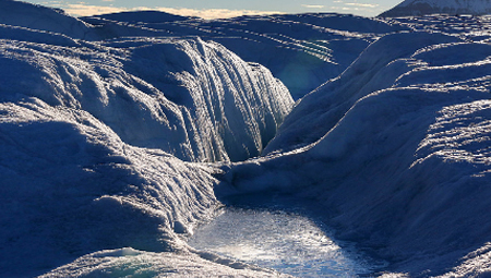 Denmark forest and ice people in Greenland see ice melting 600 times faster than normal
